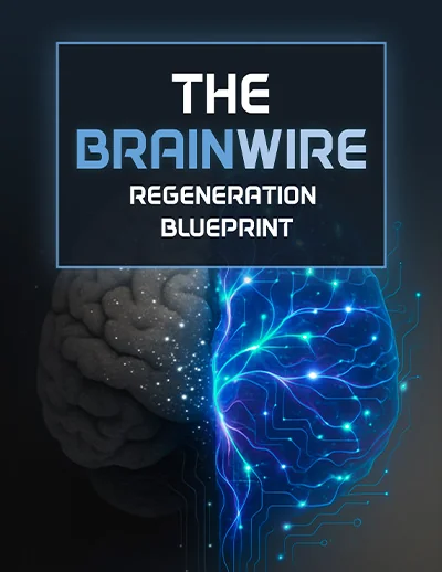 The seller's cover image for the bonus e-book The Brainwire Regeneration Blueprint, showing a glowing brain graphic